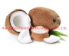 Desiccated Coconut Low Fat &amp; Medium Fat &amp; High Fat Origin in China