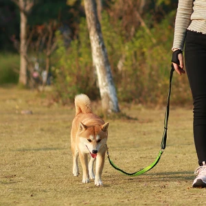 Dog Collars Leash Lead Training Running Nylon Dog Pets Leashes Adjustable Products Dogs Ropes Chain Pet Walking Rope