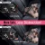 Import Dog Safety Vest Harness Pet Car Harness Vehicle Seat Belt with Adjustable Strap and Buckle Clip from China