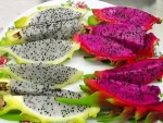 dragon fruit