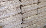 Dried Cashew Nut Without Shell Raw Seeds