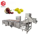 Dried fruit processing machine production line preserved dry fruit food chips dryer dried fruit machine manufacturers in india