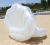 Import Eco-friendly inflatable white seashell floating swimming pool 0.3mm white shell float water park float from China