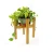 Import Eco-friendly Wooden bamboo Plant Stand Flower Display Rack from China