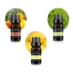 Essential Oils Top 6 Gift Set Pure Essential Oils for Diffuser, Humidifier, Massage, Aromatherapy, Skin & Hair Care
