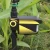 Import Factory animal repeller solar attractive modern garden tools sprinkler from China