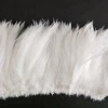 Factory direct sale white 6-8inch Cock/Rooster hackle Feather strung