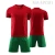 Import Factory Directly Supply football t-shirt soccer training  jersey from China