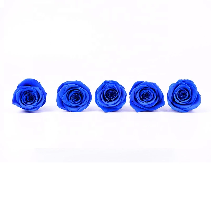 Factory Supply 3-4 cm Real Natural Immortal Preserved Flower Roses