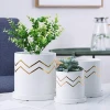 Factory wholesale Garden  home decorative  White ceramic   Cylinder   succulent planter   Ceramic  Flower  pot with tray
