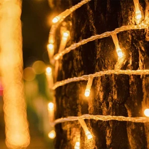 Fairy Led String Lights Outdoor Gardening  Decorative Holiday  Indoor Landscape  Home Room Birthday Party Tree Decoration