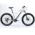Import fashion tandem electric bike for two people riding together from China