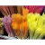 Import Fast Shipment Amazon Hot Selling Wholesale Flower Arrangement Wedding Home Decoration Dried Pampas Grass from China