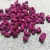 Import FD007F Hot Product 100% Nature 10*10*10mm Freeze Dried Red Dragon Fruit from China