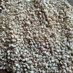 Finest Quality of Natural Sesame Seeds
