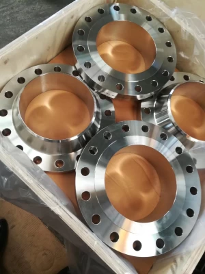 Forged stainless steel flange