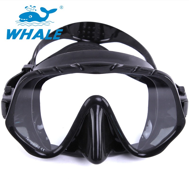 Frameless Mask Dry Snorkel Set