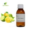 Free Sample Perfume Oil Liquid Fragrance Sweet Orange Candle Fragrance Oil With Factory Price