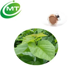 Free sample Pure Natural White Mulberry Leaf Extract Mulberry Leaf Extract