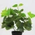 Import Free shipping 25pcs/ctn small artificial plant bonsai with pot for indoor decoration from China