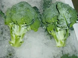 fresh broccoli packed in 10x1kg/ctn.