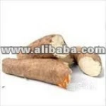 Fresh Cassava