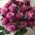 Import Fresh flower suppliers flower arrangements cheap flowers red rose from China