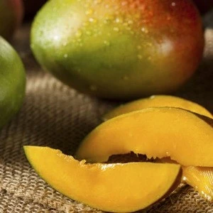 Fresh fruits mangoes supplier /Exporter