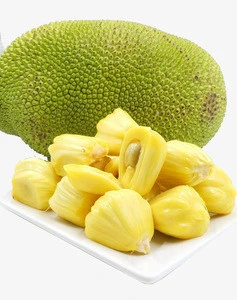 Fresh High Quality Seasonal Jackfruit from Bangladesh
