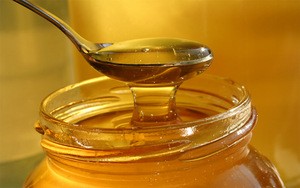 Fresh Natural raw honey for sale