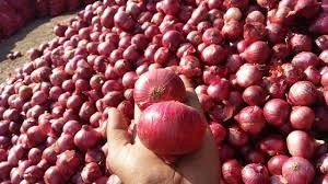 Fresh Red Onions For Sell