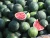 Import FRESH WATERMELONS IN WHOLESALE from Canada