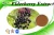 Import Fruit Extract Elderberry Natural Violet Red Fine Powder Cool Dry Place Liquid-solid Extraction 2 Years 1 Kg All Grade Focusherb from China