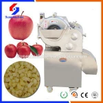 Fruits And Vegetables Dice Processing Machine and potato slice machine