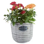 Gift Garden Wicker Handmade Flower Basket Without Handles
