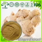 Ginger extract powder/Red ginger extract