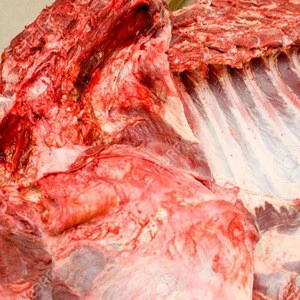 Grade A Halal Buffalo Boneless Meat/ Frozen Beef Frozen Beef./Cow Tails