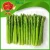 Import Green aspargus fresh asparagus prices from China