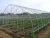 Import Green house pre-galvanized galvanized steel iron pipe from China