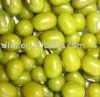 Green Mung bean beans 2010 new crop