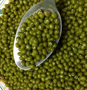 Green Mung Bean - Good Quality From Thailand / Myanmar