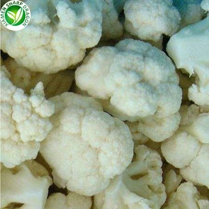 haccp certification iqf frozen organic fresh cauliflower