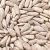 Import Halal Certificate China New Crop Sunflower Seed Kernels Confection Grade Wholesale from China