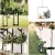 Import Hanging Chains hooks for Bird Feeders  Hanging Plant Baskets Solar Lights Lanterns from China
