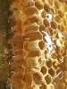 Health natural honey bee packaging not added suqar or refined