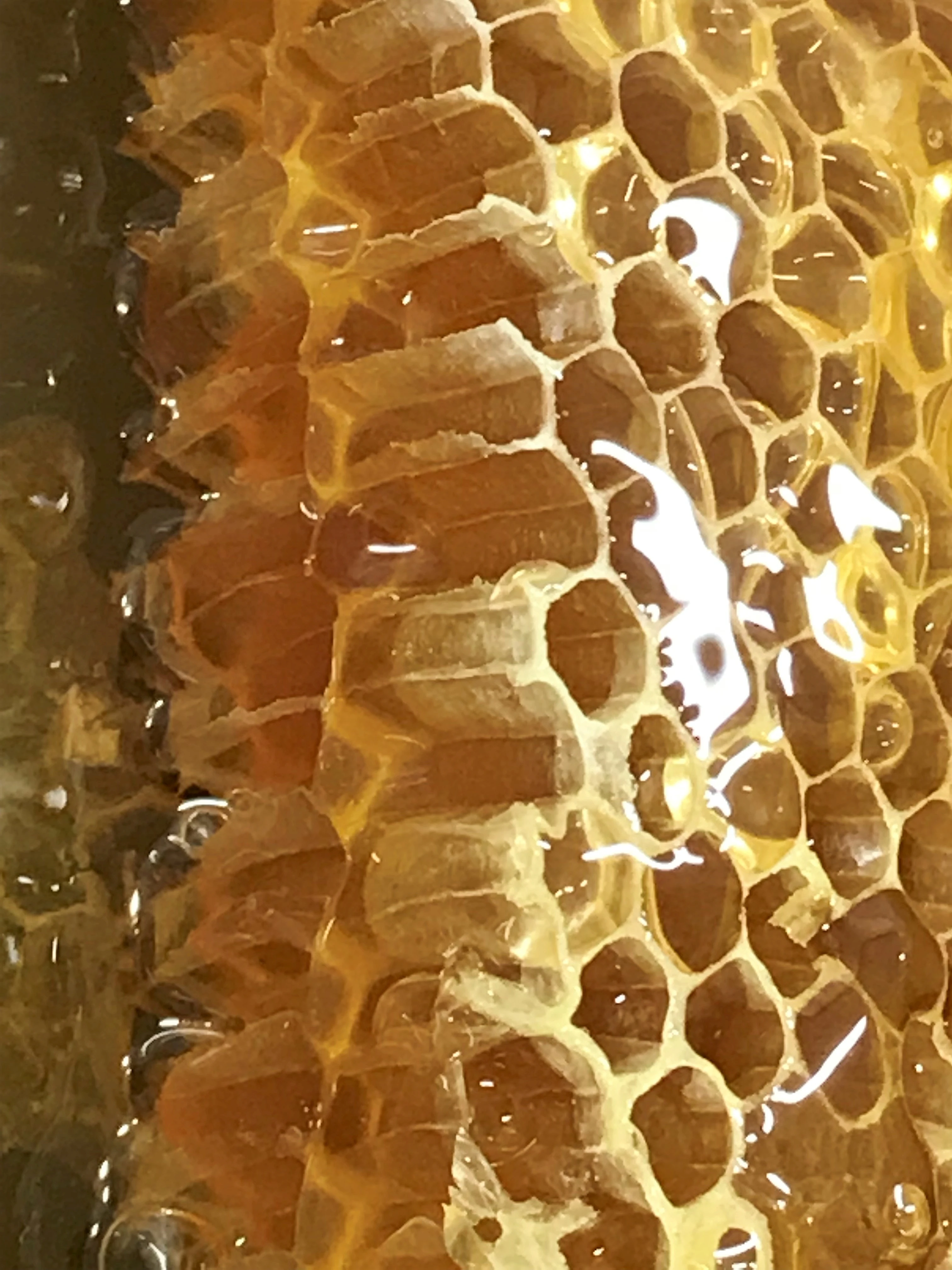 Health natural honey bee packaging not added suqar or refined