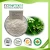 Import Herbal Plant Powder wholesale angelica root powder bulk from China
