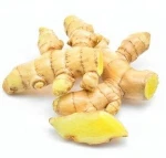 High Purity Ginger Extract 98% 6-gingerol