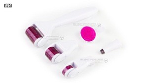 High Quality 6 In 1 Micro Needle Derma Roller Derma Roll