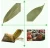 Import high quality bamboo leaf extract bamboo leaves No pollution Fresh/ Sushi bamboo leaves from China